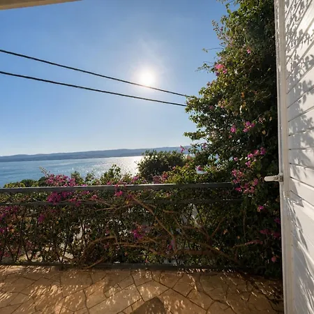 New! Complex 
