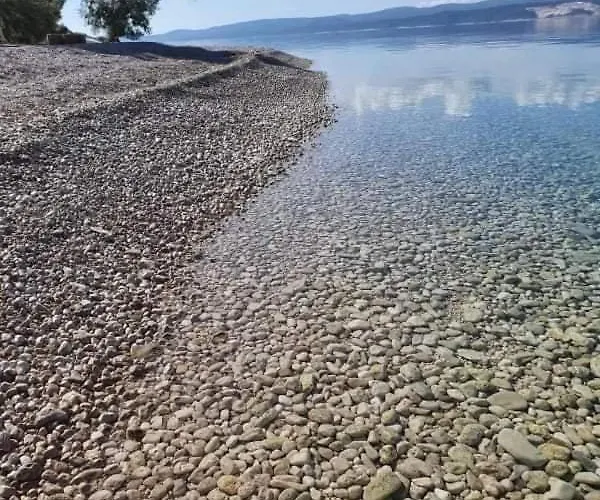 Gostinjska kuća New! Complex 